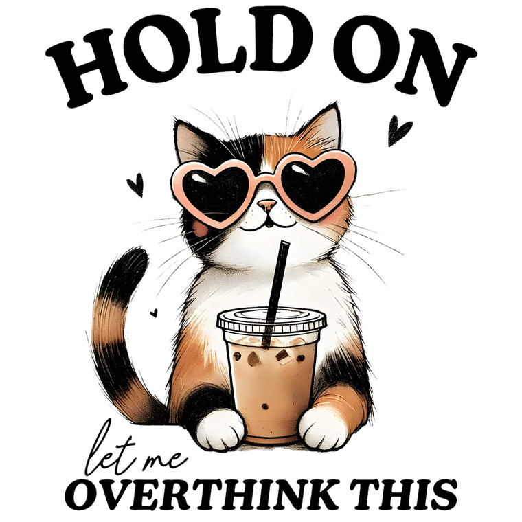 (2 Qty) Hold On Let Me Overthink This DTF transfer