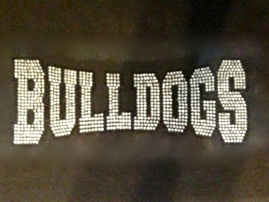 BILLS Mascot Rhinestone Transfer Iron On - Texas Rhinestone