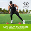 OPTIMUM NUTRITION Gold Standard 100% Plant Based Vegan Protein Powder