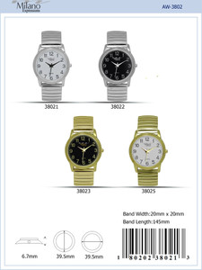 3802 - Flex Band Watch