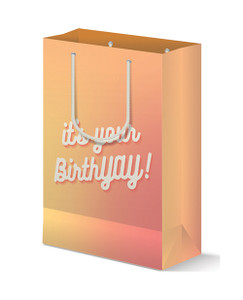 'birthyay Gift Bag