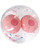 Boobie Beach Ball