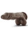 Blush Dr. Skin Mr. Skin Stud Muffin - Chocolate