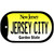 Jersey City New Jersey Novelty Metal Dog Tag Necklace 2" x 1"