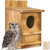 Outdoor Wooden Screech Owl BirdHouse for Mounting - Easy to Assemble