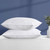 Set of 2 Machine Washable Down Feather Blend Pillow in Standard/Queen size