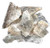 10-13# Flat of Selenite polished slices 5-8"