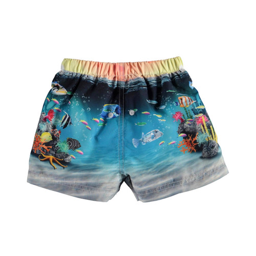 evalueren Ongepast Voortdurende MOLO Newton swim shorts - Happy Baby Fish - Le Petit Kids