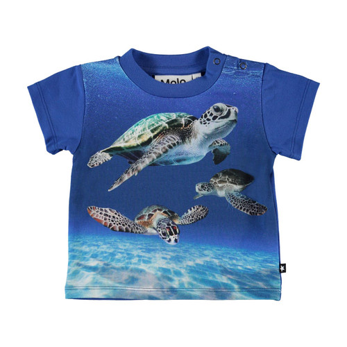 MOLO Emilio Top - Baby Turtles