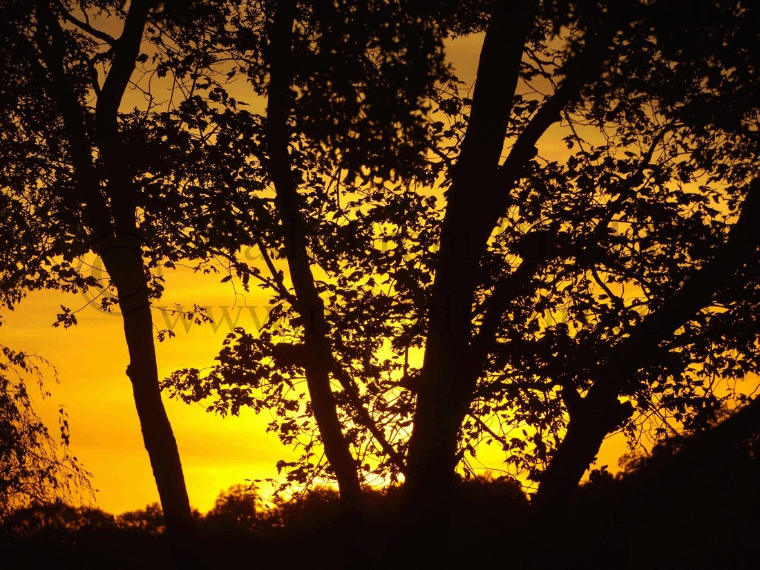 RI Images Fall Sunset Over Indian Lake Made From RI