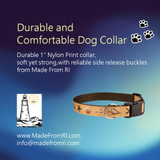Stitched With Legacy: Dog Collars From the Heart of Rhode Island