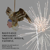 The Bald Eagle: Majestic, Bold & Faithful