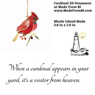 The Cardinal - A Visitor From Heaven at Made From RI