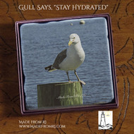 Gull Says...