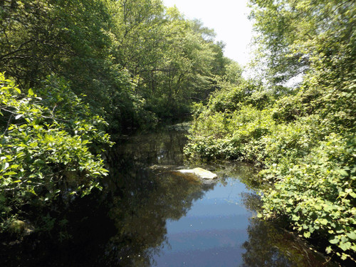 Nature Walk Old Mountain