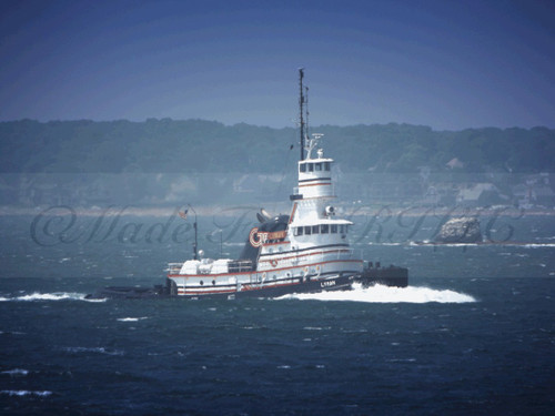 Passing Whale Rock