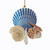 Sea Shells on the Shore Ornament