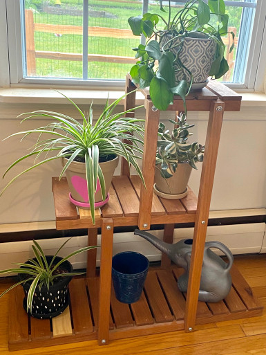 Mobile Indoor Plant Stand with Casters - Made From RI