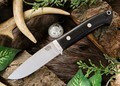 Bobcat Hunter - CPM 154