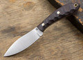 Large Northern Hunter