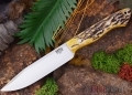 Sahara Hunter