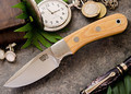Essential - CPM-154