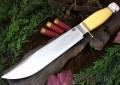 1909 Michigan Bowie