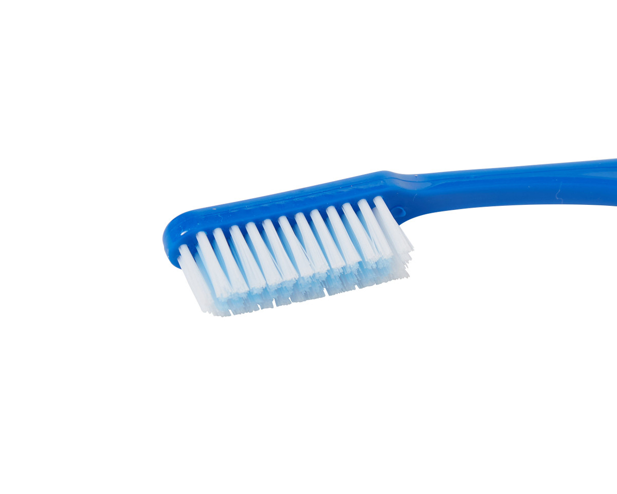 Blue Bristle Brush – Easiway Systems