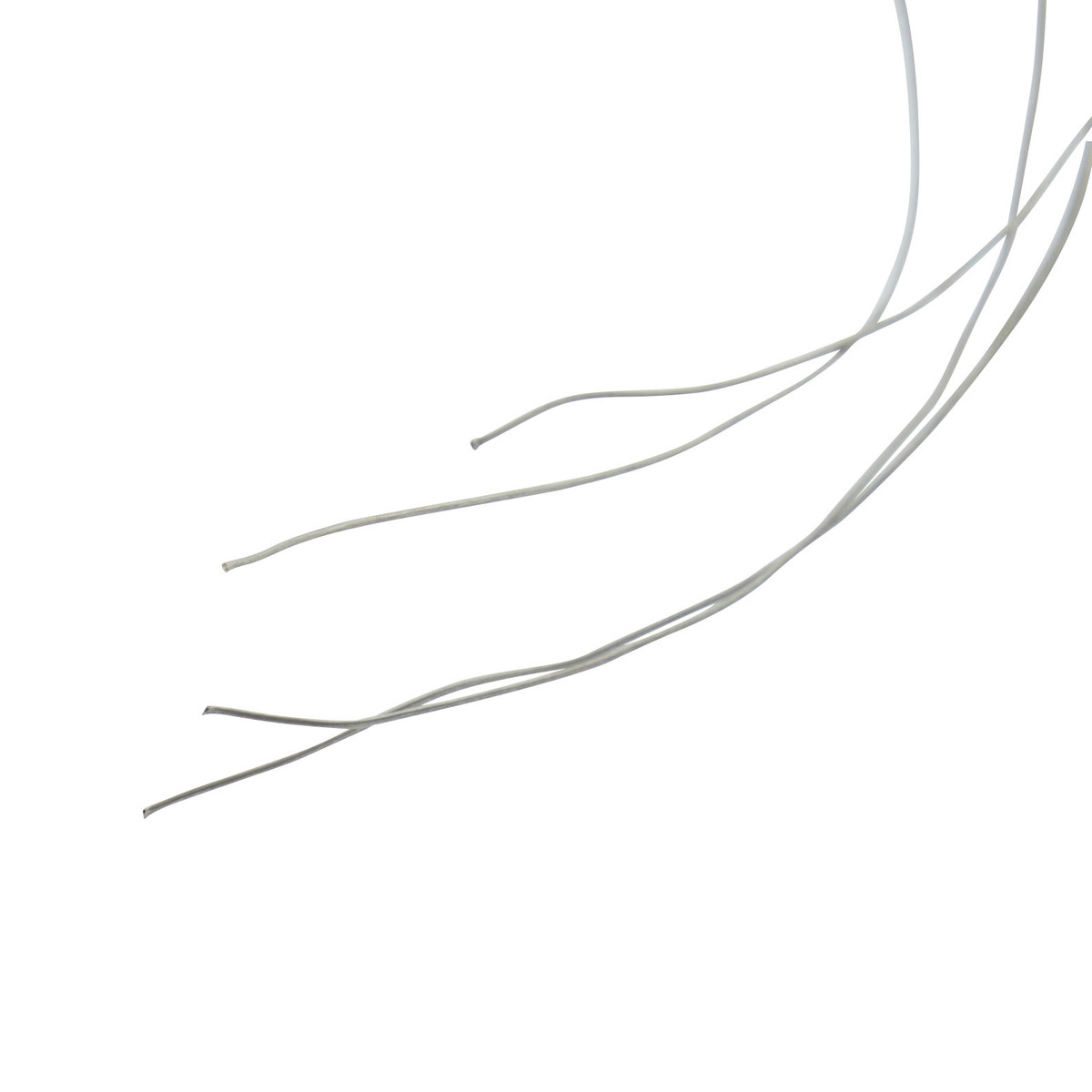 Dental Wire