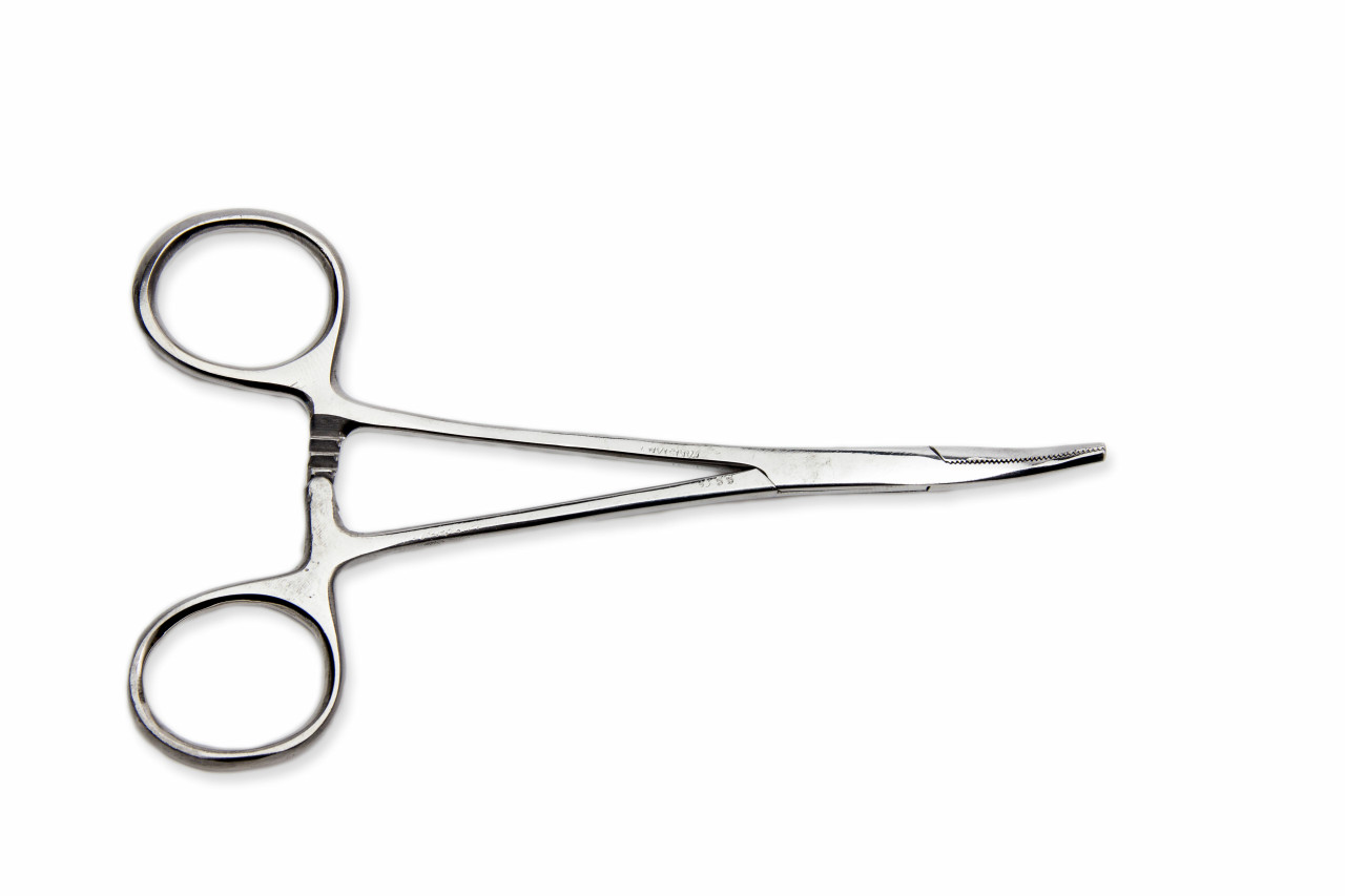 Mosquito Forceps Curved -  KI081
