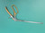 Eppendorfer Biopsy Forceps