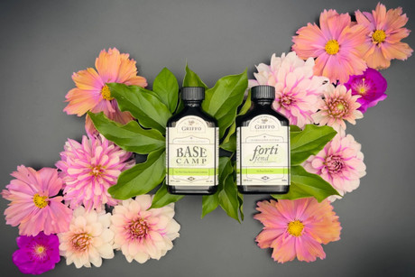 BaseCamp, a Yu Ping Feng San Formula