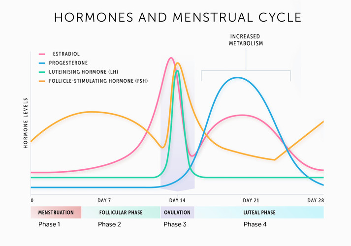 Fertility, Rhythm, and Chinese Medicine