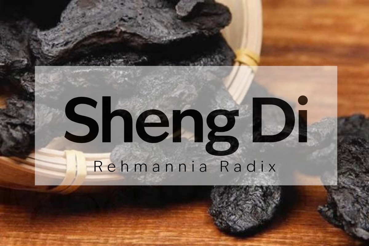 Sheng Di Huang - Griffo Botanicals