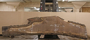 Live Edge Table Top - Black Walnut - TTW745 (3.38" x 17"x 151") Live Edge Table Top - Black Walnut - TTW745 (3.38" x 17"x 151")