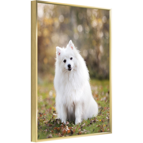 Custom Canvas Prints With Your Photos for Pet Family Photo Prints Personalized Canvas Aluminum Alloy Framed Wall Art