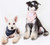 Touchdog 'Dizzy-Eyed Cyclops' Cotton Velcro Dog Bandana and Scarf