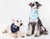 Touchdog 'Dizzy-Eyed Cyclops' Cotton Velcro Dog Bandana and Scarf