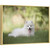 Custom Canvas Prints With Your Photos for Pet Family Photo Prints Personalized Canvas Aluminum Alloy Framed Wall Art