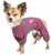 Dog Helios 'Rufflex' Mediumweight 4-Way-Stretch Breathable Full Bodied Performance Dog Warmup Track Suit