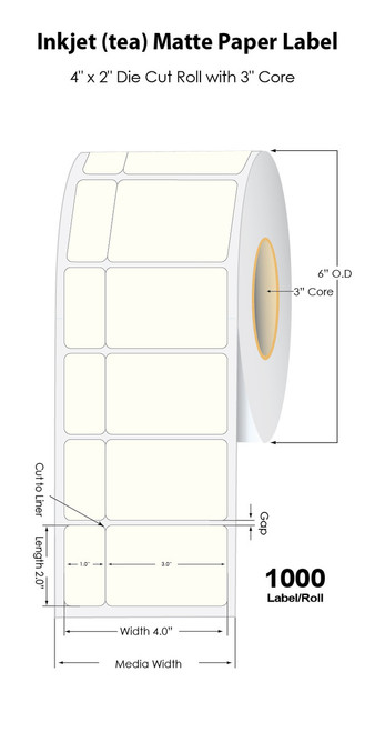 LX900 4" x 2" NP (tea) Matte Paper Label 1000/Roll