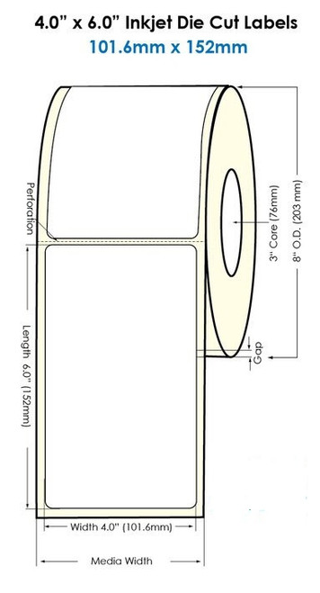 C8000 4in x 6in Matte Paper Labels 800 /Roll - 3in Core - 8in OD