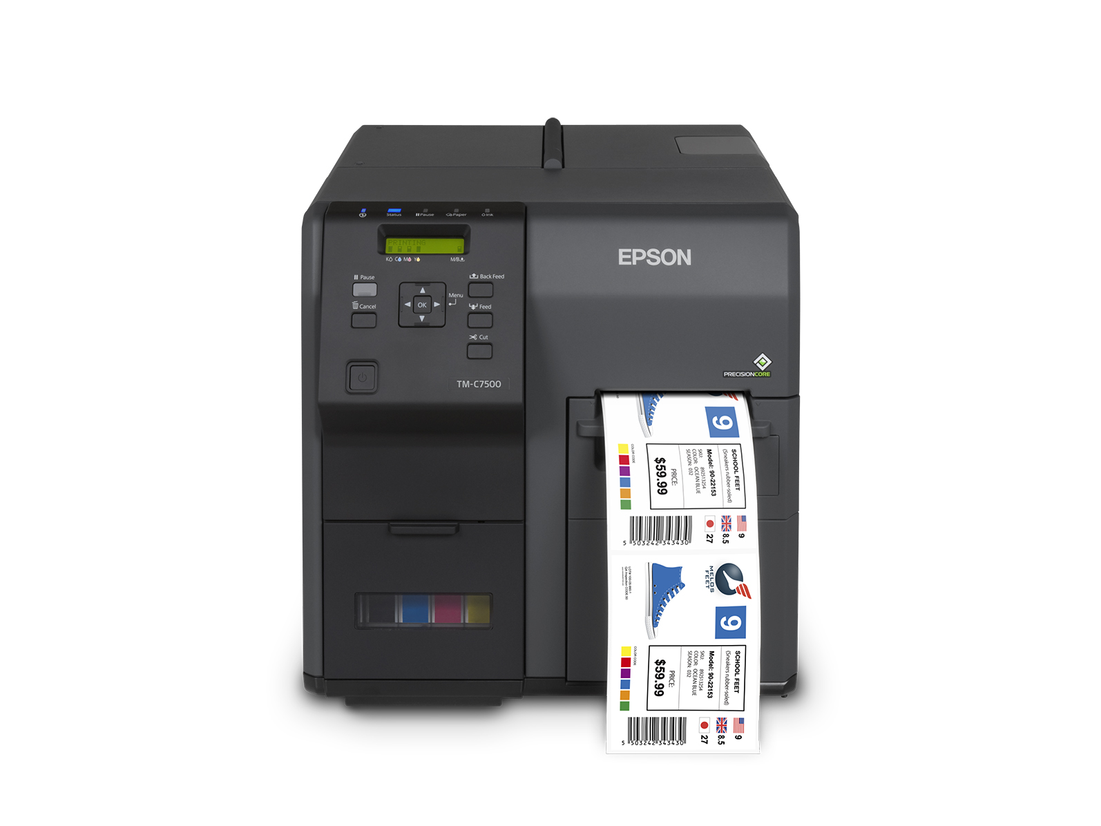 Epson CW-C6000 and TM-C7500 Printers: Multiple Versions to Fit