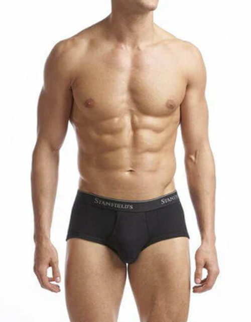 Stanfield's Cotton Supreme Brief - 2-Pack 9422