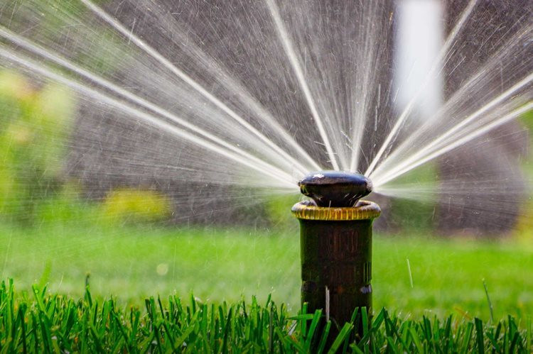 sprinklers