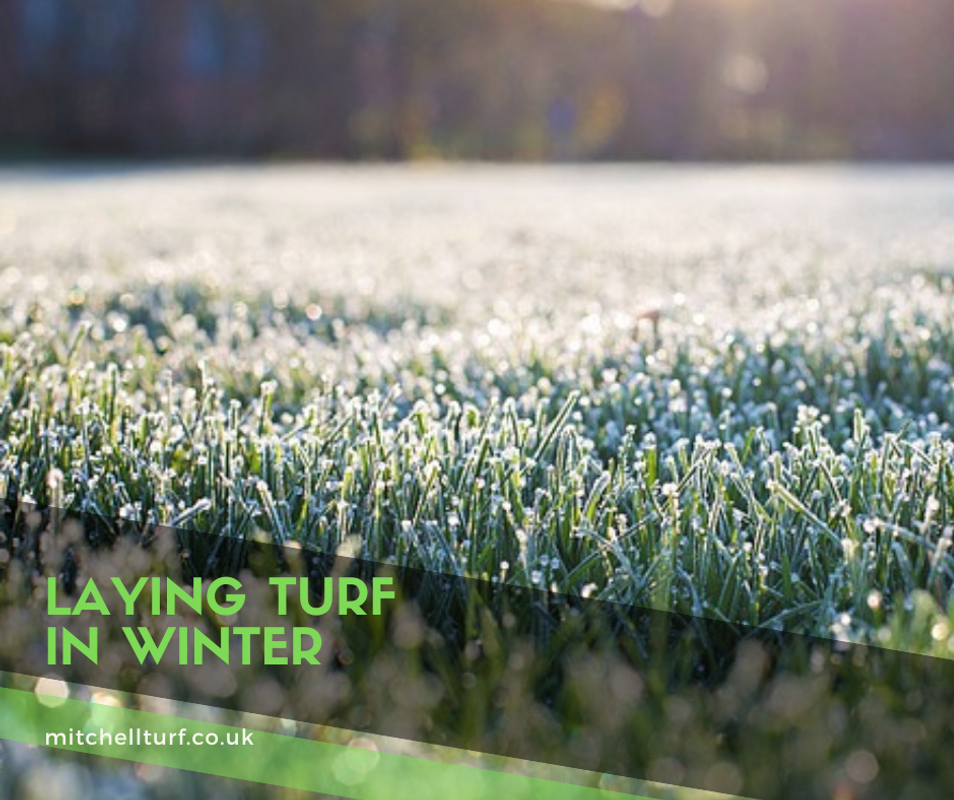 Laying Turf in Winter Laying Turf in Winter