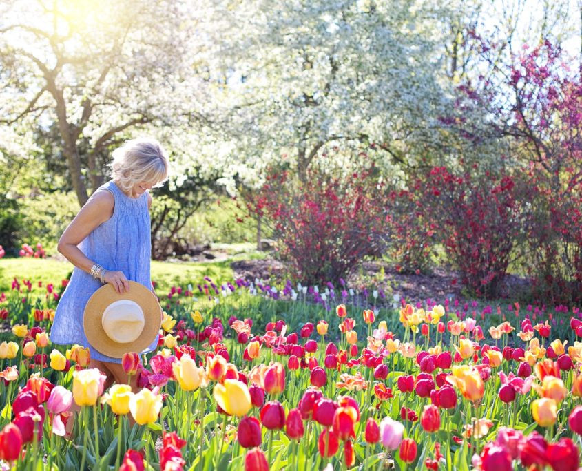 Keeping fit in the garden