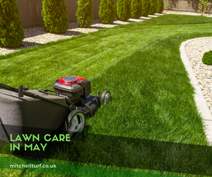 ​Lawn Care in May