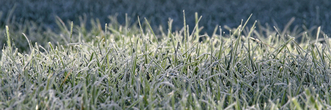 can-you-lay-turf-in-the-winter-uk-mitchell-turf.png