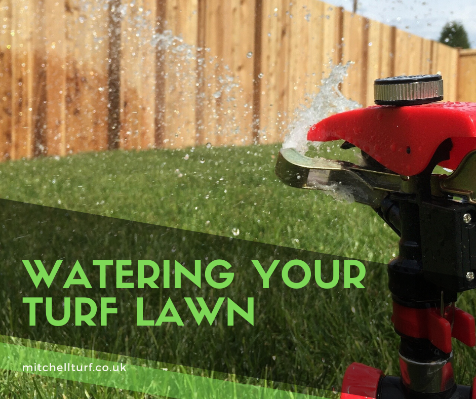 how-often-to-water-lawn-in-summer-mitchell-turf